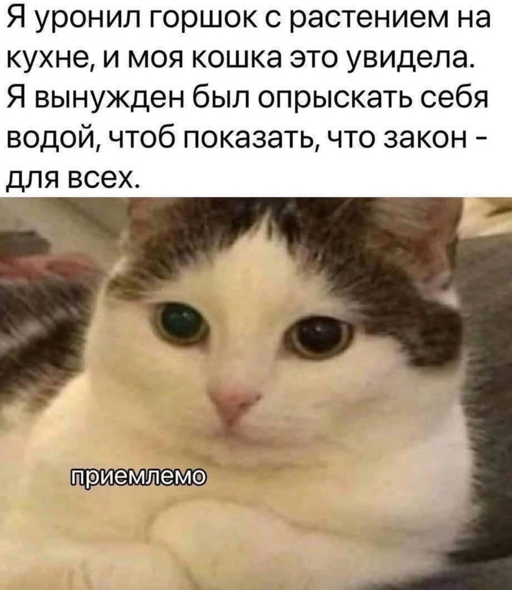 Поскольку всем не угодишь, то ограничимся собой Поскольку всем не угодишь, то ограничимся собой