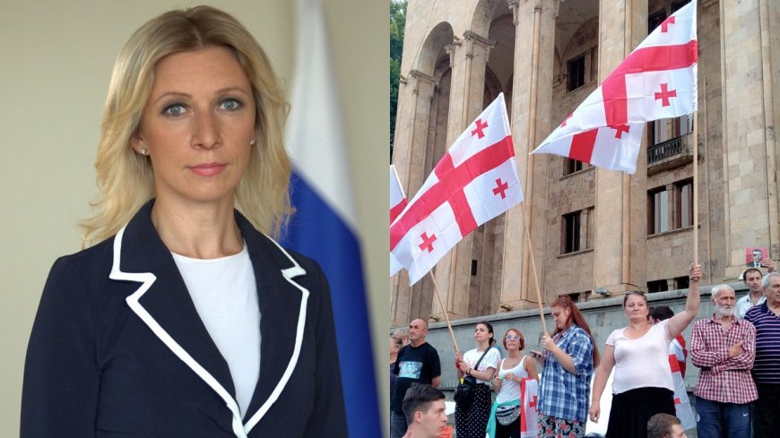 Захарова рассказала о своей реакции на антироссийскую провокацию Габунии