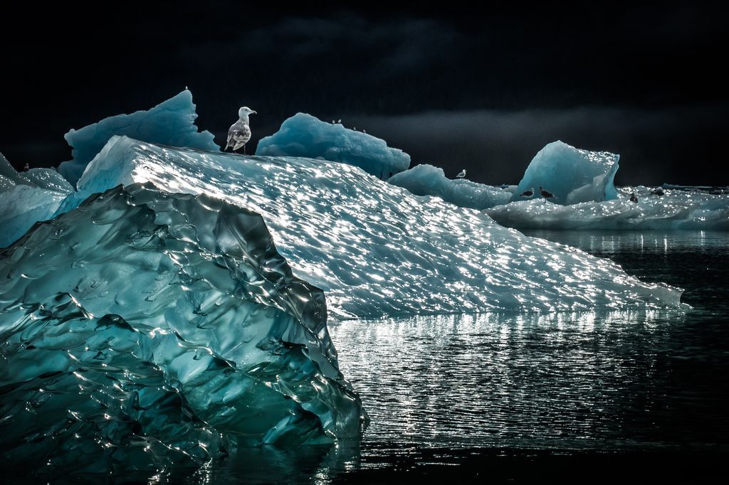 Подборка лучших фотографий, опубликованных журналом National Geographic в феврале 2017 года