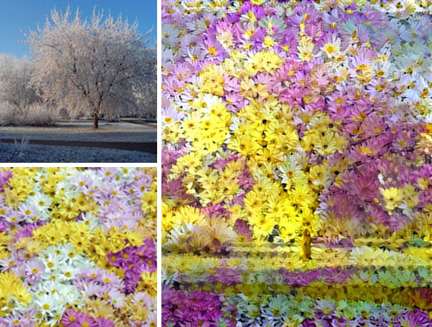 удивительные коллажи из случайных фотографий, нейронная сеть