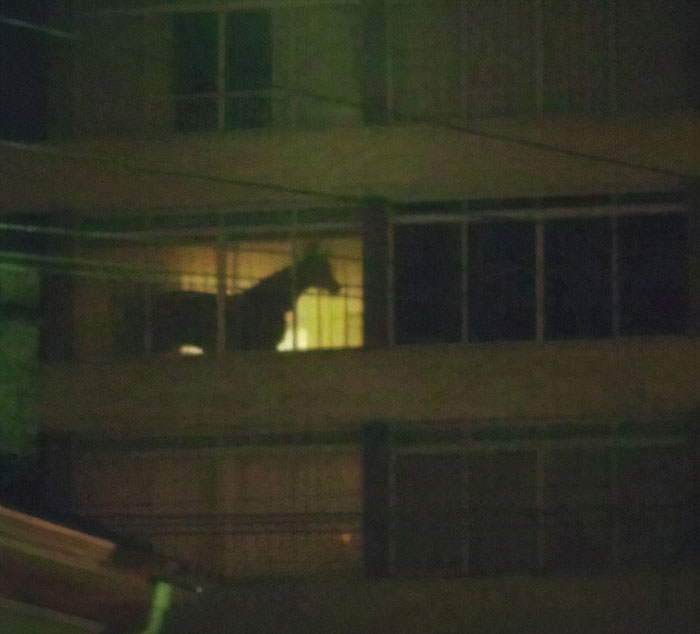 Hmmm