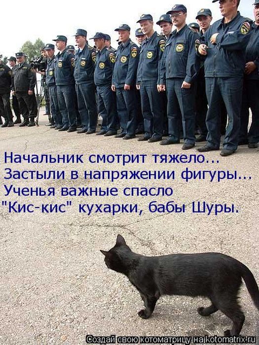 картинка пожелания хорошей смены приготовления шоколадного торта