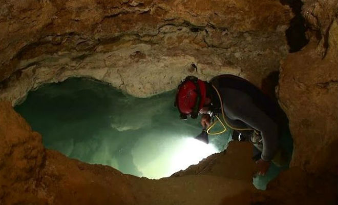 Пещера была запечатана 500 тысяч лет: ученые пробились через породу и нашли организмы, которым не нужен свет Культура