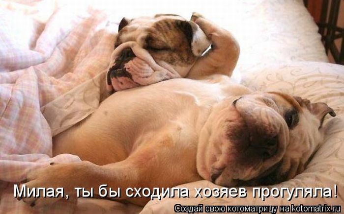 Мысли вслух :)