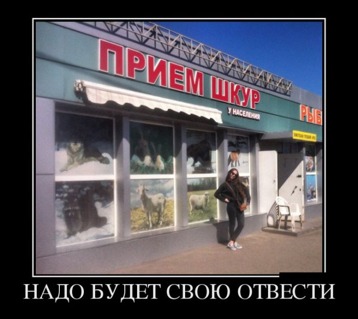 Порция демотиваторов на любой вкус 