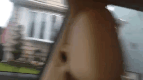 Первая встреча