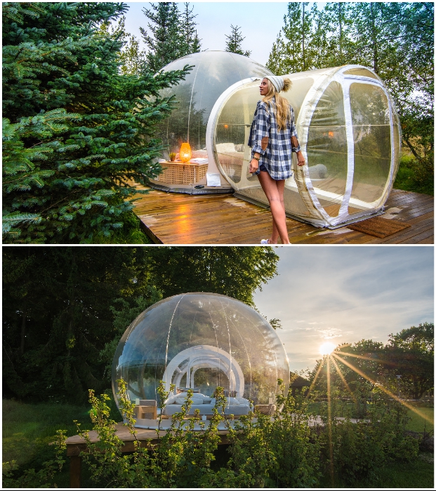 Уникальный отель-пузырь в Исландии отеле, гостей, номеров, лесной, можно, прозрачных, вдоль, номер, уединение, полное, девяти, локации, «Bubble, Южного, могут, побережья, омываемого, Учитывая, Атлантики, Hotel»