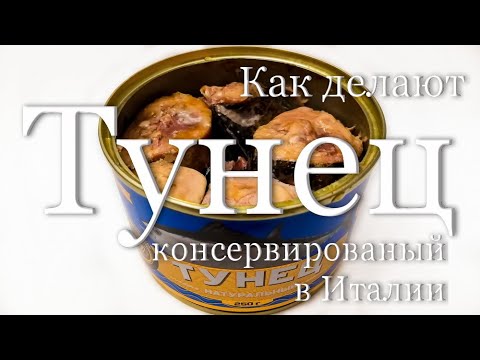 Как в Италии делают консервированный тунец 