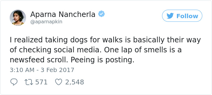 Best-woman-tweets-2017