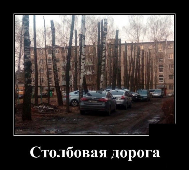 Демотиваторы субботы 18 мая Демотиваторы субботы 18 мая