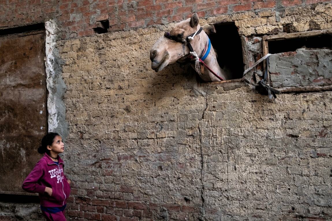 Лучшие работы фотоконкурса URBAN Photo Awards кадре, Уличная, становится, композиция, отношения, объектов, светотеневой, рисунок, только, случае, когда, появляется, изюминка, бесценным, факторов, Представляю, вашему, вниманию, финалистов, конкурса