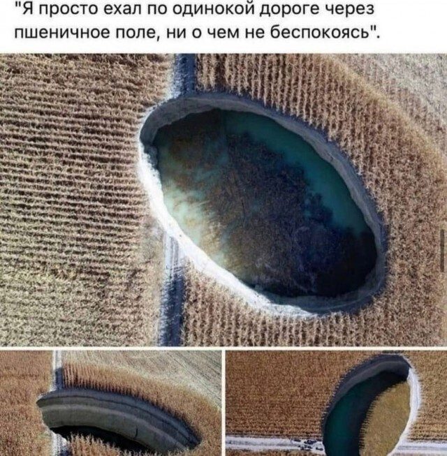 Порция юмора и позитива! позитив,смешные картинки,юмор