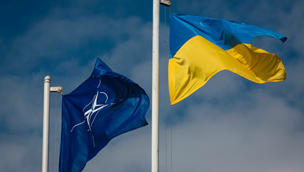Власти Украины выпрашивают у НАТО летальное оружие 
