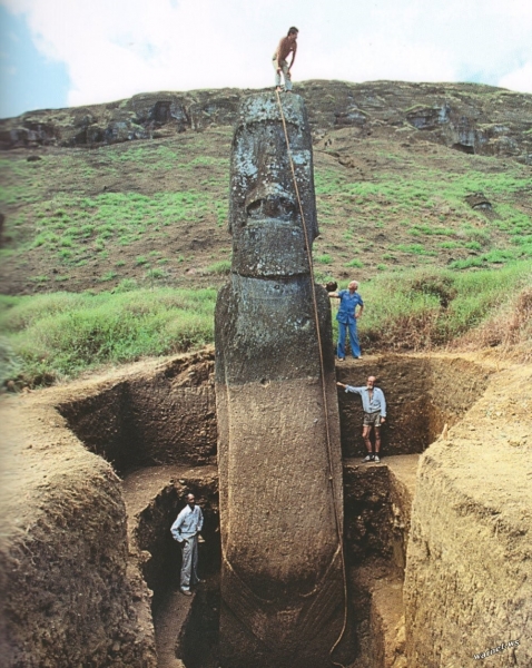 Раскрыта тайна статуй моаи на острове Пасхи: ученые выяснили, зачем их создавали
