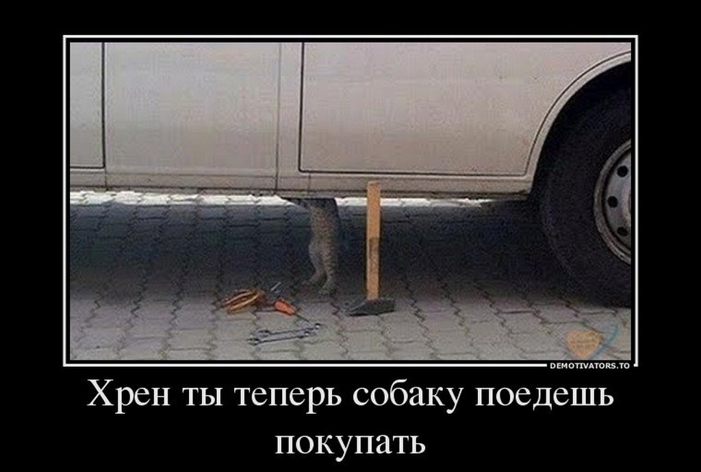 Добрым утром, прикольные картинки про хрен