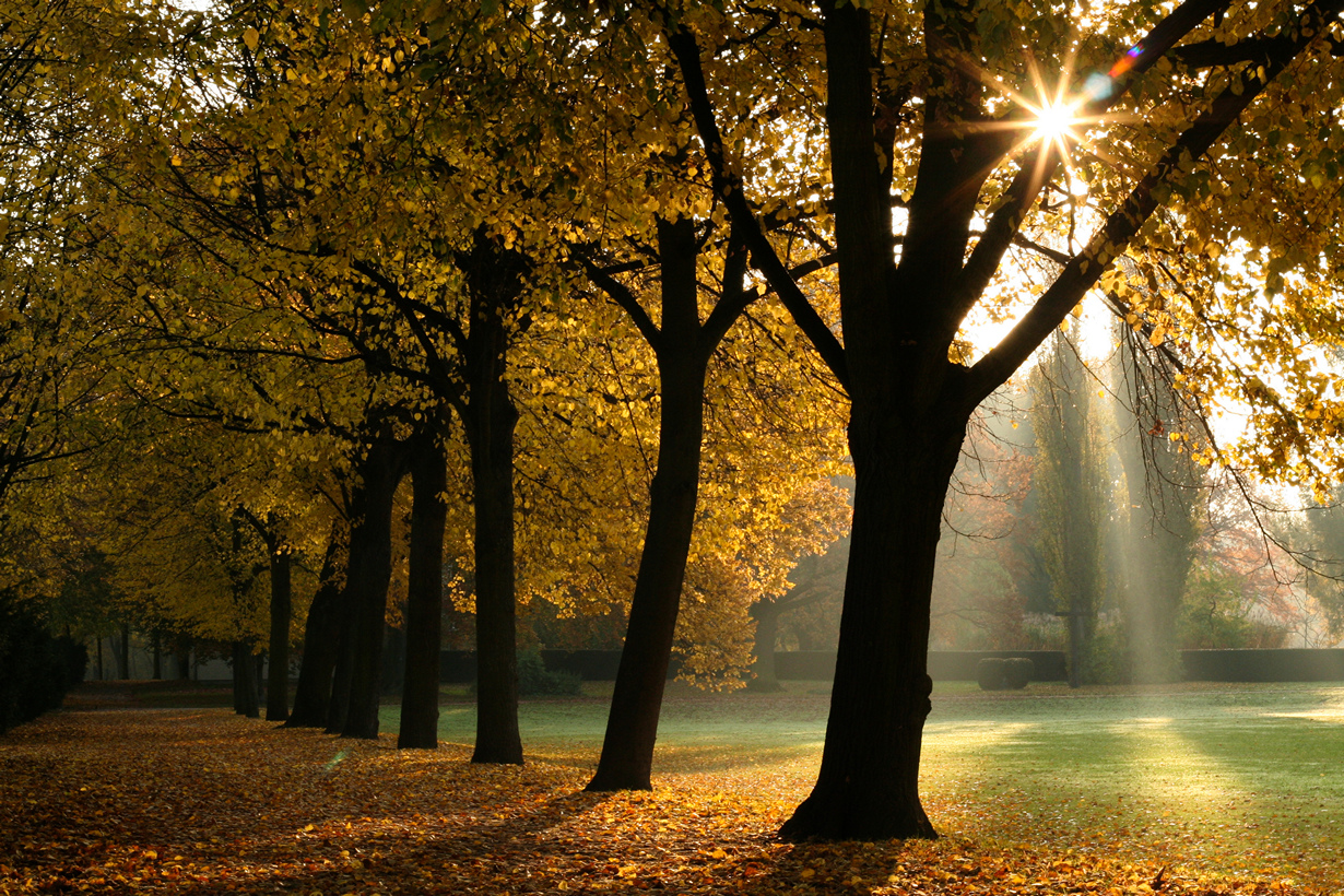 В осеннем парке. (Philipp Antar)