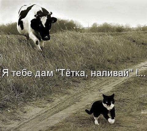   - Я все знаю! Где он?...