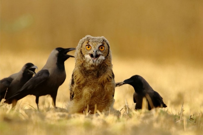 Фотоподборка 