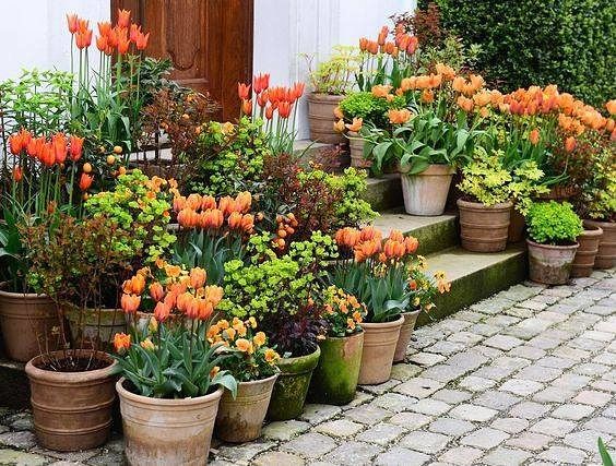 Цветы в горшках, вазонах и контейнерах. поделки для сада,разное,украшения