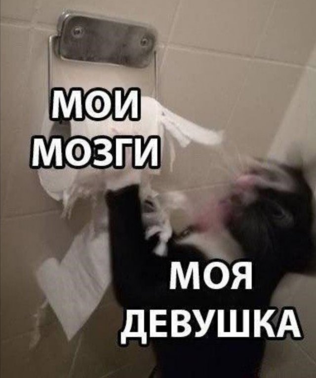 Приколы про современных девушек  позитив,смешные картинки,юмор