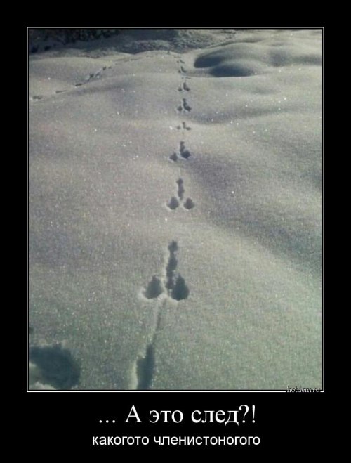 Коллекция демотиваторов на Бугаге (19 шт)