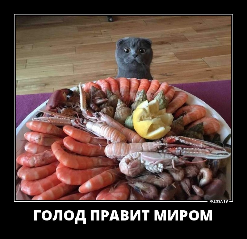 Забавные веселые демотиваторы Забавные веселые демотиваторы