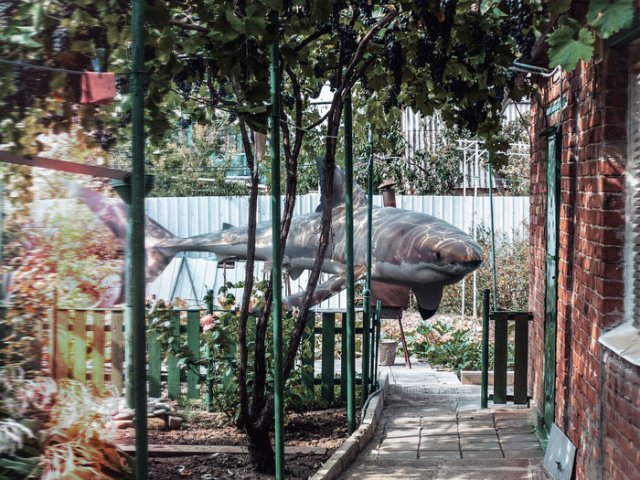 Фотоподборка четверга Фотоподборка четверга