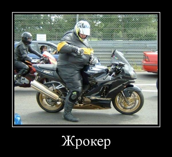 Демотиваторов прикольных сборник: «Заведи невесту, говорили они…» 