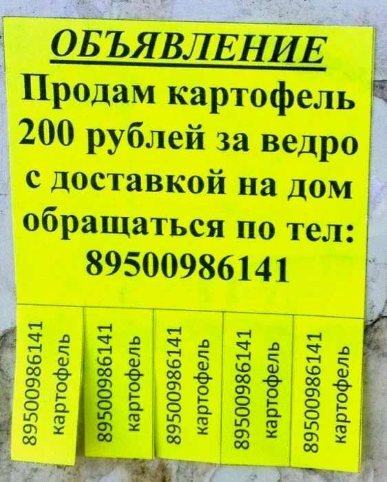 Объявление о продаже картошки образец