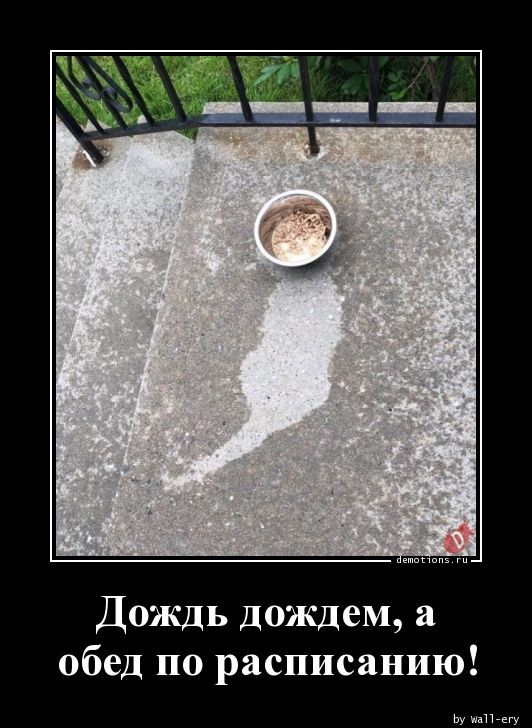 Демотиваторов прикольных сборник: «Заведи невесту, говорили они…» 