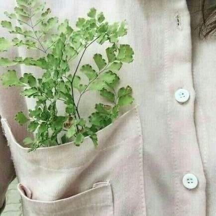 Буддийские храмы Эллоры: 1500 лет под защитой конопли