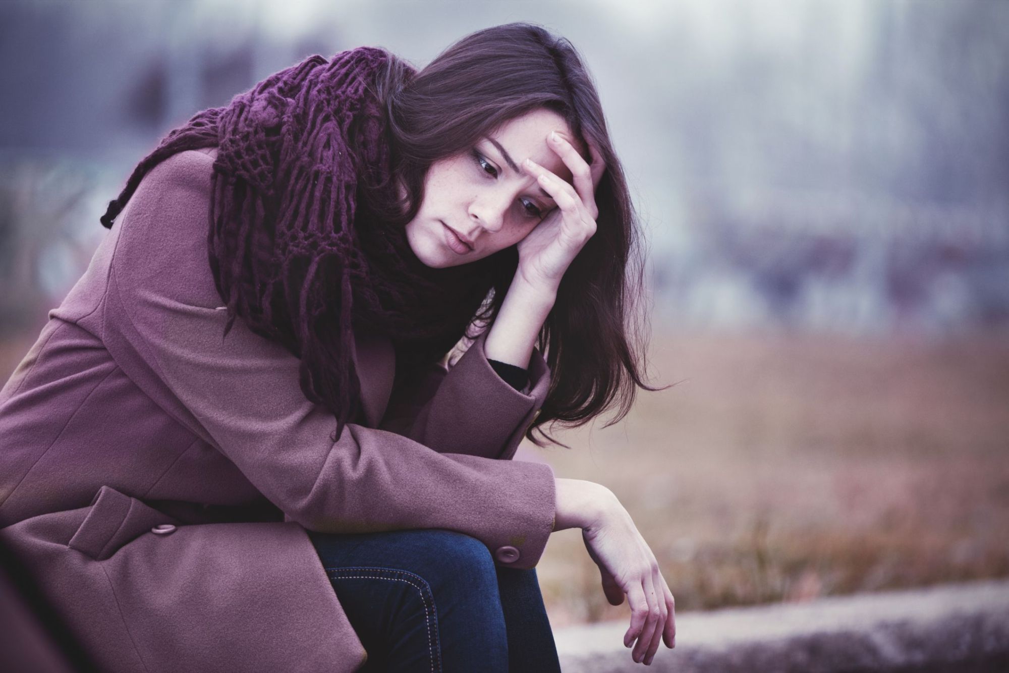 ���� �������� ��������