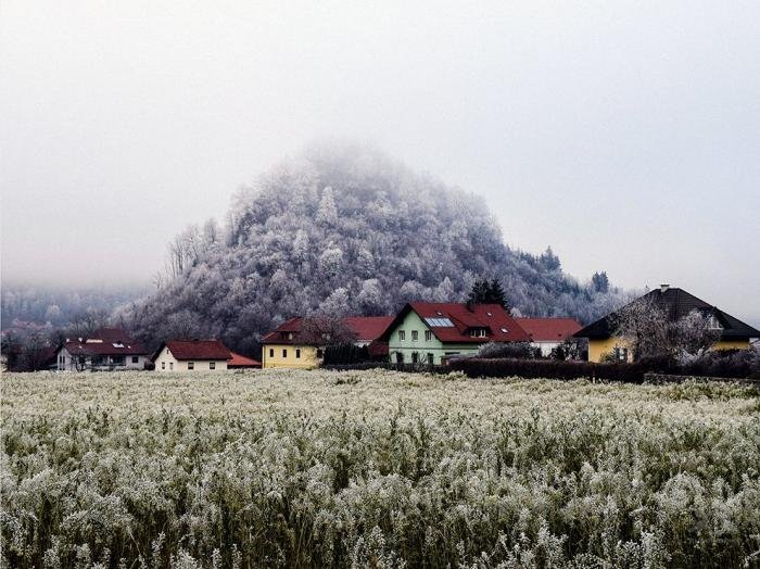 Лучшие фотографии от National Geographic