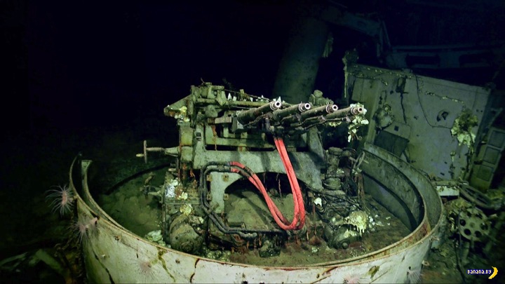 На дне океана нашли авианосец USS Hornet