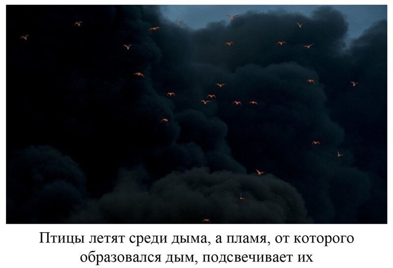 Вы видели всё в жизни? 