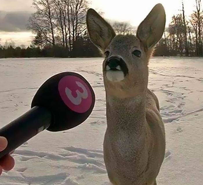Hmmm