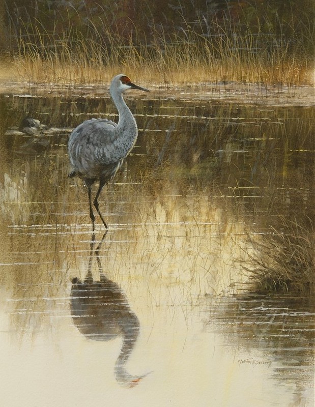 Природа художника-акварелиста Morten E. Solberg живопись