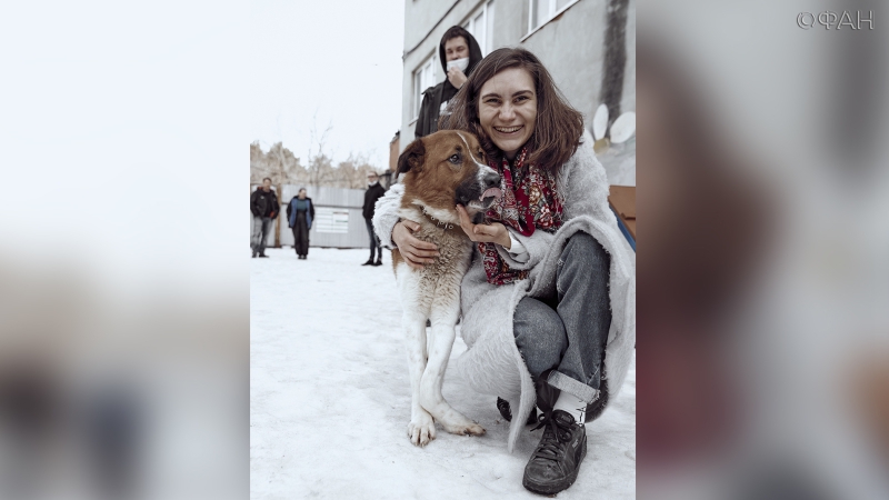 «Стенограффия» из Екатеринбурга спасла бродячего пса от ампутации лапы 