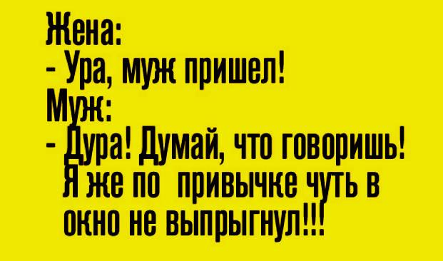 Каждый раз, когда я провожу рукой по коту, моя рука проходит 35 см анекдоты,веселье,приколы,смех,юмор