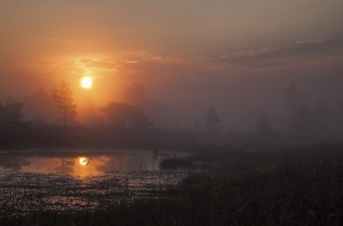 Кемерский национальный парк в Латвии (10 фото)