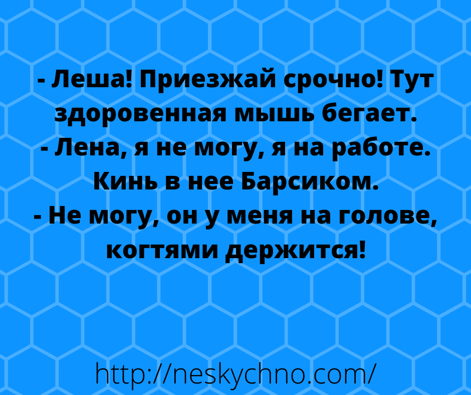 Забавные анекдоты для хорошего настроения 