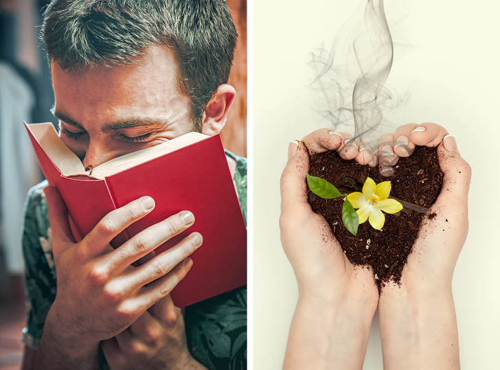 12 «почему», ответы на которые вы хотели бы знать, но забывали погуглить 