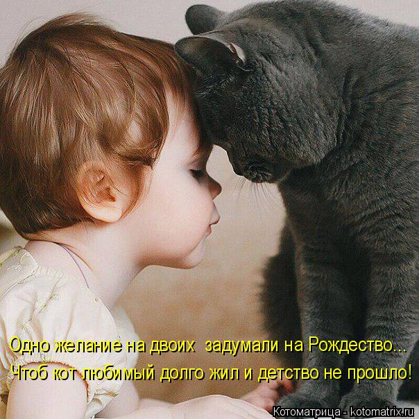 ЯНВАРСКАЯ КОТОМАТРИЦА ЯНВАРСКАЯ КОТОМАТРИЦА