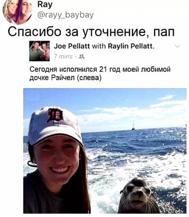 Прикольные комментарии из соцсетей: «Всё было вроде нормально…» Прикольные комментарии из соцсетей: «Всё было вроде нормально…»