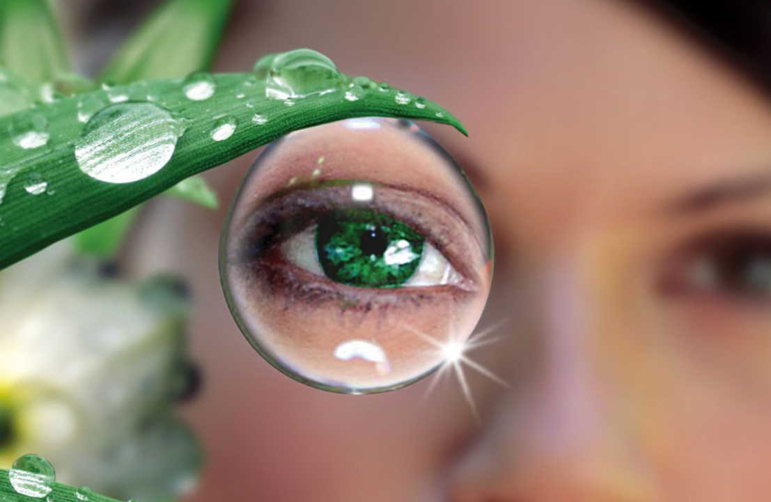 Лечение глаз травами: без химии можно улучшить зрение!