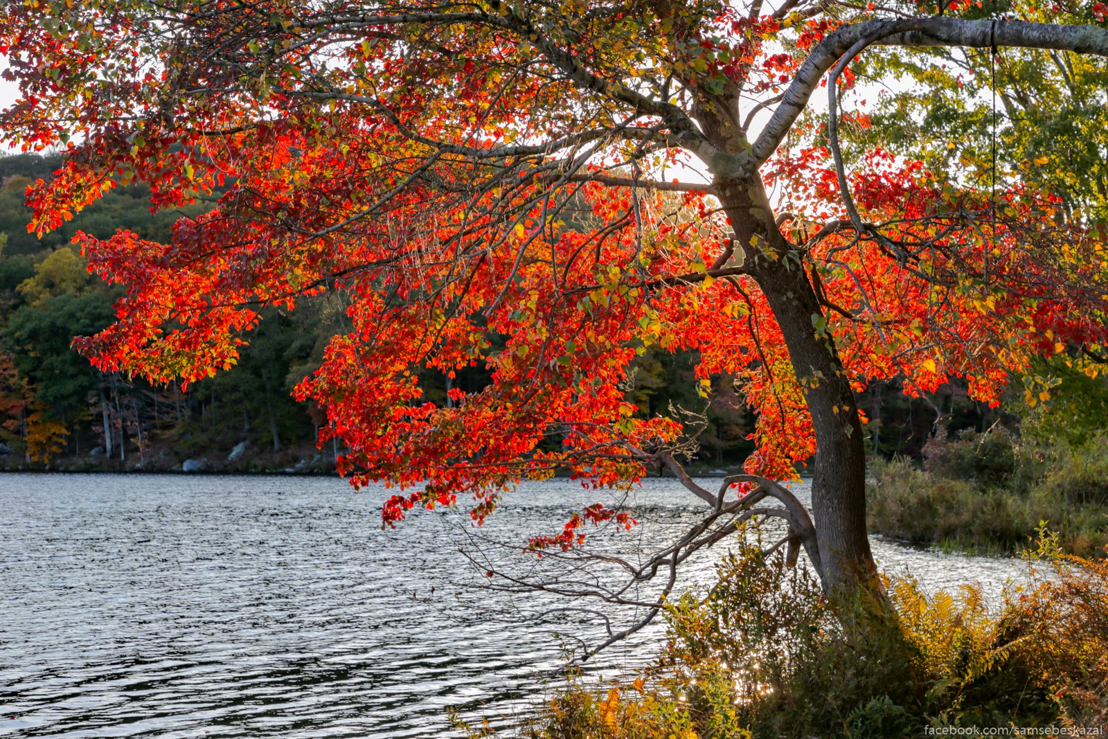 Осень в Харриман-стейт-парке Осень в Харриман-стейт-парке города,история,путешествие,самостоятельные путешествия,страны,туризм,турист