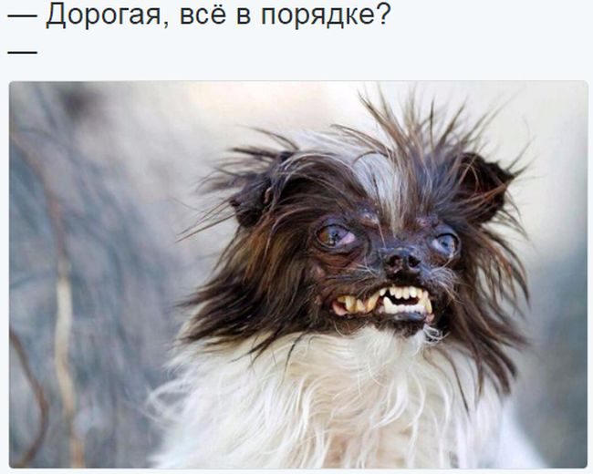 Угарные хохотушки для позитивного настроя