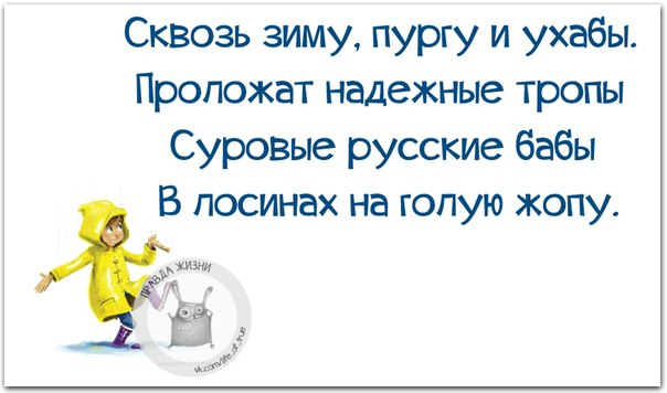 - Что главное в боксе?- Шубы!- Что?! Какие еще шубы?!- Шелые передние шубы! веселые картинки