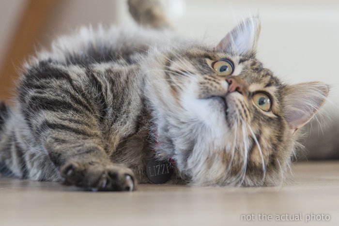 Люди рассказывают о своих самых глупых травмах