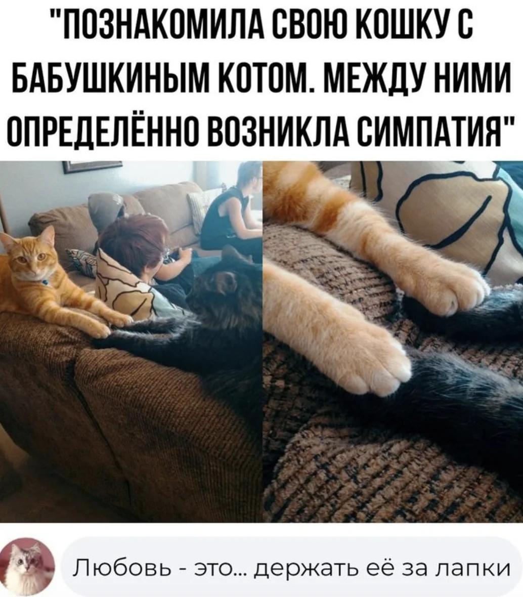 Интернет мемы во вторник и кастрюля 